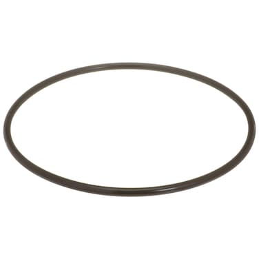 Delphi FA10036 Fuel Pump Tank Seal
