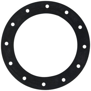 Jaz Products 85030101 12Hole Flange Gasket