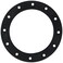 Jaz Products 85030101 12Hole Flange Gasket