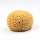 EYAKEG Texture Sponge Drywall Wall Patch Ceiling Texture Sponge Home Decor Sponge for Texture Repair DIY Painting Ceiling