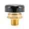 Eastman 12 Inch MIP Vacuum Relief Valve Brass Plumbing Fittings 60156