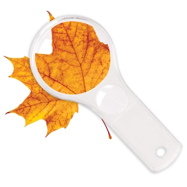 Learning Resources Dual Lens Magnifiers Set of 10