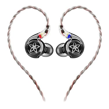 FiiO FH11 HiFi 1DD1BA Hybrid Driver inEar IEM Earphone with Detachable 078 2Pin Cable HiFi Stereo Wired Earbuds for MusicianAudiophile