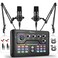 HaynerSeek Podcast Equipment Bundle for 2 Audio Mixer with 35mm Podcast Microphone Bluetooth voice change DJ Mixer for Live Streaming Singing Gaming