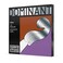 Thomastik Strings for Viola Dominant Nylon Core Set 141 44 Medium