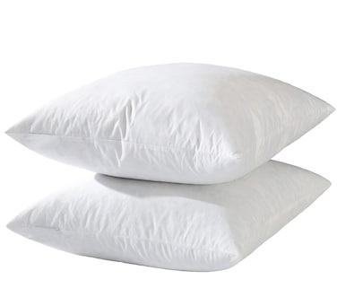 basic home 20x20 Decorative Throw Pillow InsertsDown Feather Pillow InsertsSquareCotton FabricSet of 2White