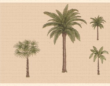 Dundee Deco DDAZBD9325 Peel and Stick Wallpaper Border  Nature Green Brown Palm Trees Wall Border Retro Design 15 ft x 7 in 457m x 1778cm Self Adhesive