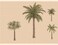 Dundee Deco DDAZBD9325 Peel and Stick Wallpaper Border  Nature Green Brown Palm Trees Wall Border Retro Design 15 ft x 7 in 457m x 1778cm Self Adhesive