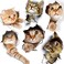 TTSAM 6PCS 3D Wall Stickers Cats Self Adhesive Kids Wall DecalsRemovable Vinyl Art Murals for Living Room Baby Rooms Bedroom Toilet House Wall DIY Decoration