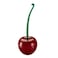 EpicGifts Cherry Shape Toilet Brush  Standing Toilet Brush Set  Compact Household Bathroom Cherry Toilet Brush