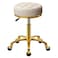 HZLCMPY Round Rolling Bar Stool Beauty Salons  Spa Stool Medical Counter Bread Chair Titanium Gold 5 Claws with Swivel Earth Wheels Hydraulic Lift Adjustable 4355 cm OffWhite