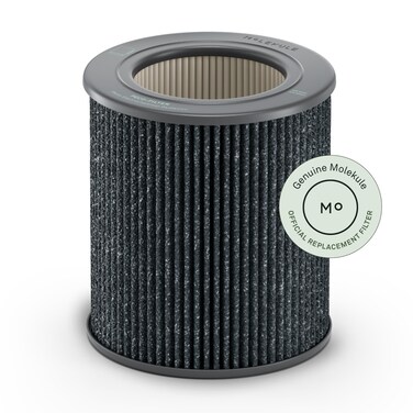Molekule PECOHEPA TriPower Filter Air Mini and Mini  Air Purifier Replacement Filters with PECO and HEPA Technology Eliminates Smoke Mold Bacteria  Other Pollutants for Clean Air  Gray