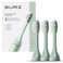 SURI Recyclable PlantBased Electric Toothbrush Heads  Builtin Tongue Scraper Long Lasting Replacement Heads  Compatible Only with SURI Sonic Electric Toothbrush  Winter Fern Pack of 3