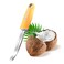 BAMILEE House Coconut Meat Remover KnifeCoconut ToolCoconut Meat Removal Tool Durable Silicone Handle Stainless Steel Coconut Opener Scraper for Kitchen Home