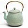 TOPTIER Tea Kettle for Stove Top Cast Iron Teapot Stovetop Safe with Infusers for Loose Tea 22 oz Light Green