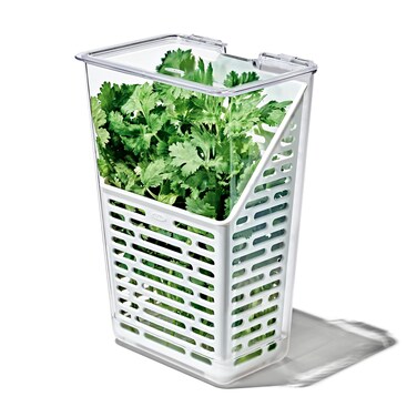 OXO Good Grips Produce Saver  Herb Keeper 45 x 60 x 113 in White