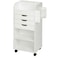 HoneyCanDo Craft Storage Cart 1913 x 3362
