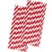 Outside the Box Papers Stripe Straws  Red and White  775 Inches  50 Pack  Brand