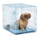 MidWest Homes for Pets Blue Dog Crate  MidWest iCrate 24 Blue Folding Metal Dog Crate wDivider Panel Floor Protecting Feet  Leak Proof Dog Tray  24L x 18W x 19H Inches Small Dog Breed