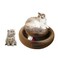 Magic Organ Foldable Cat Scratching Board Grinding Scratch Pad with Toy Kring Ball Durable Recyclable Interactive Cat Scratcher