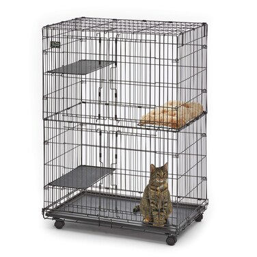 MidWest Homes for Pets Collapsible Cat Playpen Black