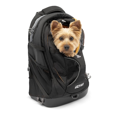 Kurgo GTrain Pack Carrier Backpack for Small Dogs and Cats Ideal for Hiking or Travel Waterproof Bottom Black