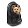Kurgo GTrain Pack Carrier Backpack for Small Dogs and Cats Ideal for Hiking or Travel Waterproof Bottom Black