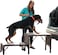 Pet Gear Free Standing Pet Ramp for Cats and Dogs No Assembly Required Easy Fold for Storage or Travel Portable Available in 6 Models