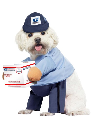 California Costumes Dog Mail Carrier Costume USPS Large Blue