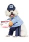 California Costumes Dog Mail Carrier Costume USPS Large Blue