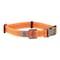 Carhartt Fully Adjustable Nylon Webbing Collars for Dogs Reflective Stitching for Visibility Hunter Orange Nylon Webbing Medium