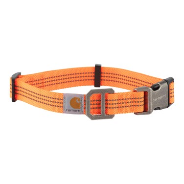 Carhartt Fully Adjustable Nylon Webbing Collars for Dogs Reflective Stitching for Visibility Hunter Orange Nylon Webbing Medium