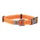 Carhartt Fully Adjustable Nylon Webbing Collars for Dogs Reflective Stitching for Visibility Hunter Orange Nylon Webbing Medium