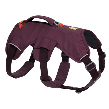 RUFFWEAR Web Master Dog Harness Padded Antiescape Dog Harness with lifting Handle for Everyday Adventures 2 Lead Attachments Size Medium 6981cm Purple Rain