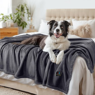 luciphia Waterproof Pet Blanket Liquid Pee Proof Dog Blanket for Sofa Bed Couch Reversible Sherpa Fleece Furniture Protector Cover for Small Medium Large Dogs Cats Dark Gray XLarge85 x 57