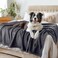 luciphia Waterproof Pet Blanket Liquid Pee Proof Dog Blanket for Sofa Bed Couch Reversible Sherpa Fleece Furniture Protector Cover for Small Medium Large Dogs Cats Dark Gray XLarge85 x 57