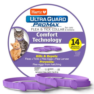 Hartz UltraGuard ProMax Flea  Tick Collar for Cats I 14 Months Protection I Soft  Comfortable  Flea  Tick Prevention I 2 Pack