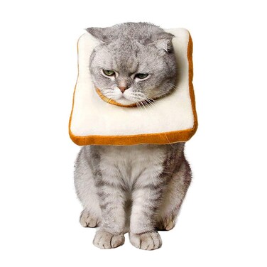 Amakunft Adjustable Cat Cone Collar Soft Cat Recovery Collar Cone for Cat After Surgery Cat Neck Cone Elizabethan Collar for Cat and Kitten