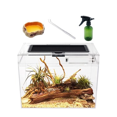 Reptile Growth Mini reptile PC tank12 x 7x 9 vivarium with Top Sliding Door Screen Ventilation for Small FishInsectSnailGeckoTarantulaBearded DragonJumping SpiderStick InsectPraying Mantis