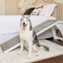 PetSafe CozyUp Bed Ramp  Durable Wooden Frame Supports up to 120 lb  Furniture Grade Wood Pet Ramp with White Finish  HighTraction Carpet Surface  Great for Older Dogs and Cats