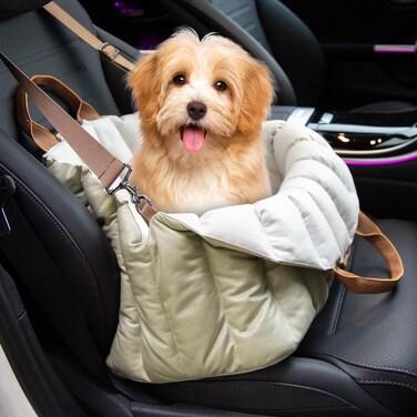ClevaHome Small Dog Car Seat  Travel Carrier  Pet Bed NonSlip Booster Seat for Dogs up to 10lbs Fashionable Pet Carrier Bag for Indoor and Outdoor
