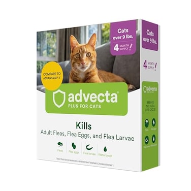 Advecta Plus Flea Prevention For Cats Cat and Kitten Treatment  Control Small and Large Fast Acting Waterproof Topical Drops 4 Month Supply