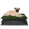 PETMAKER Artificial Grass Puppy Pee Pad for Dogs and Small Pets  16x20 Reusable 4Layer Training Potty Pad with Tray  Dog Housebreaking Supplies by