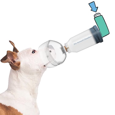 WhaleSing Canine Aerosol Chamber Inhaler Spacer for Small Dogs Puppies and All Cats