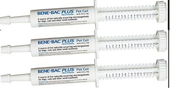 3 Pack BeneBac Plus Probiotic Pet Gel 15g Each X 3 Syringes