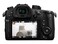 Panasonic DMWSFU1VLOG Lumix VLog L Function Firmware Upgrade Kit USA Model VersionBlack