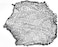 Feishibang Spike game Balls Round Net for Mini Volleyball Roundnet Net Game Includes of Net