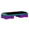 The Step Original Aerobic Platform  Health Club Size  With Four Original Risers TealPurple with Black
