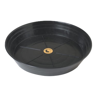 Champion Sports Ball Base