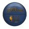 WILSON NBA Forge Series Outdoor Basketballs